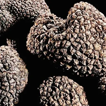 Appartement #terracota’s Retro House, Near Lac Du Der ! *