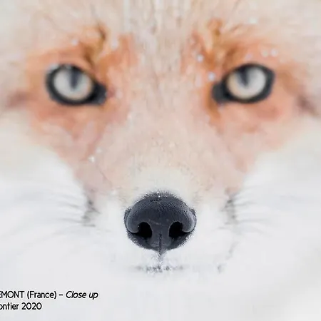 #terracota’s Retro House, Near Lac Du Der ! * Saint-Dizier