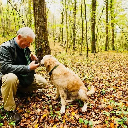 #terracota’s Retro House, Near Lac Du Der ! Appartement