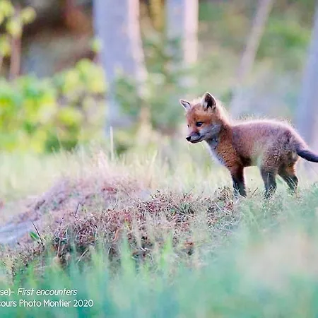Appartement #terracota’s Retro House, Near Lac Du Der ! Saint-Dizier