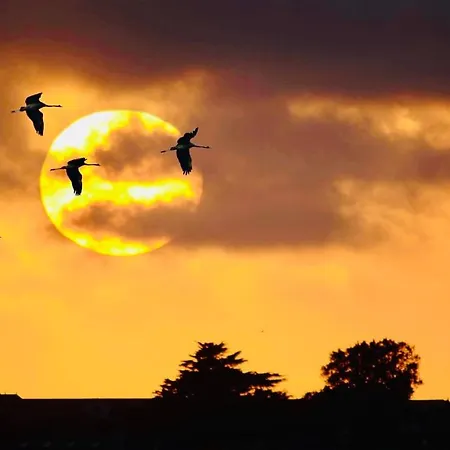 #terracota’s Retro House, Near Lac Du Der ! *