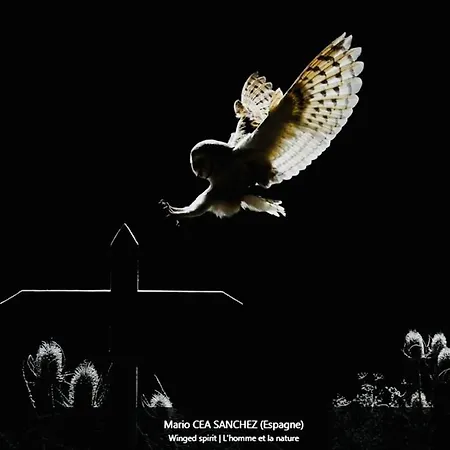 Appartement #terracota’s Retro House, Near Lac Du Der ! Saint-Dizier