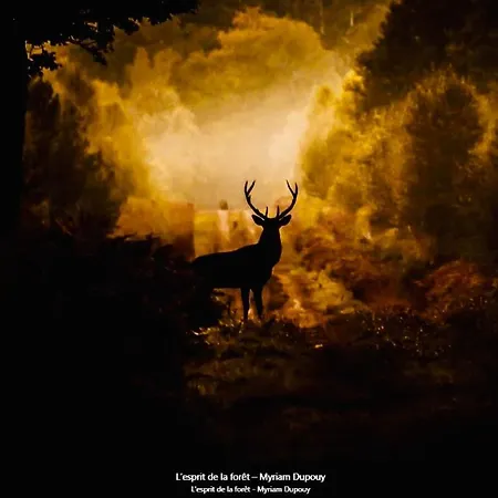 #terracota’s Retro House, Near Lac Du Der ! Saint-Dizier