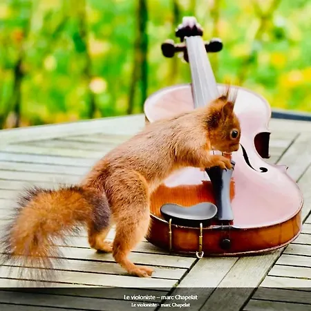 Appartement #terracota’s Retro House, Near Lac Du Der ! Saint-Dizier