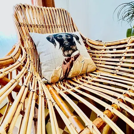 #terracota’s Retro House, Near Lac Du Der ! * Saint-Dizier