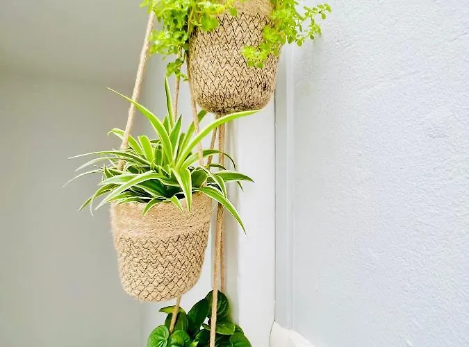 Lägenhet #terracota's Retro House, Near Lac Du Der ! *