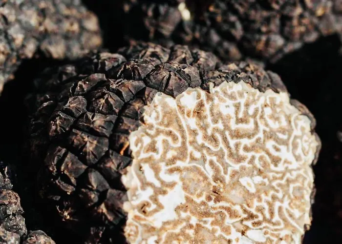 #terracota's Retro House, Near Lac Du Der ! Lägenhet