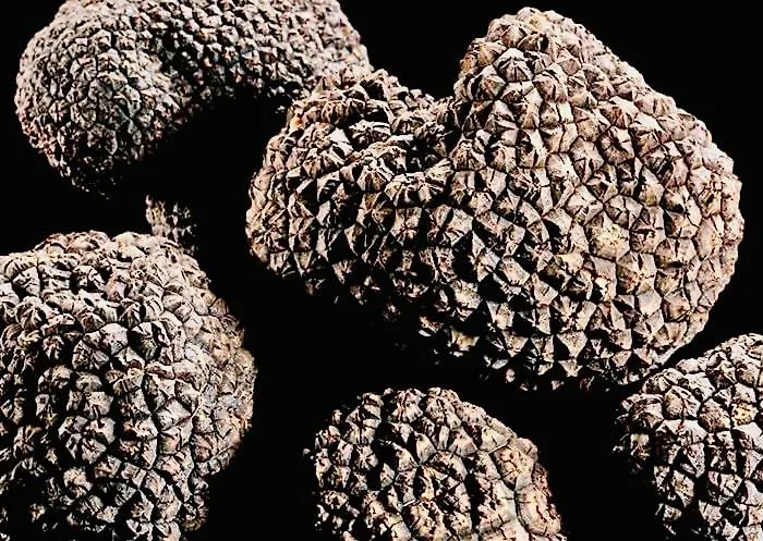 Lägenhet #terracota's Retro House, Near Lac Du Der ! *