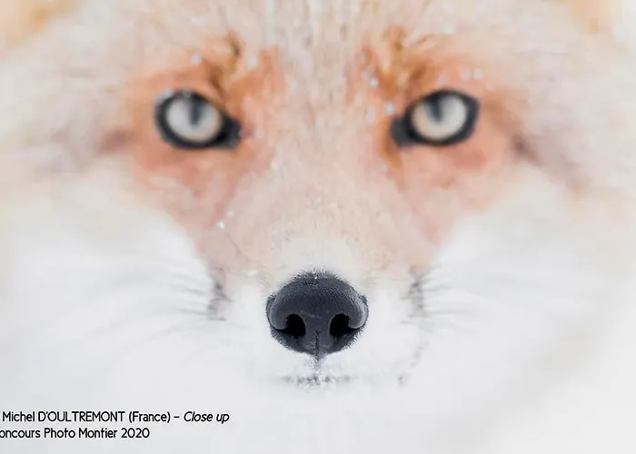 #terracota's Retro House, Near Lac Du Der ! * Saint-Dizier