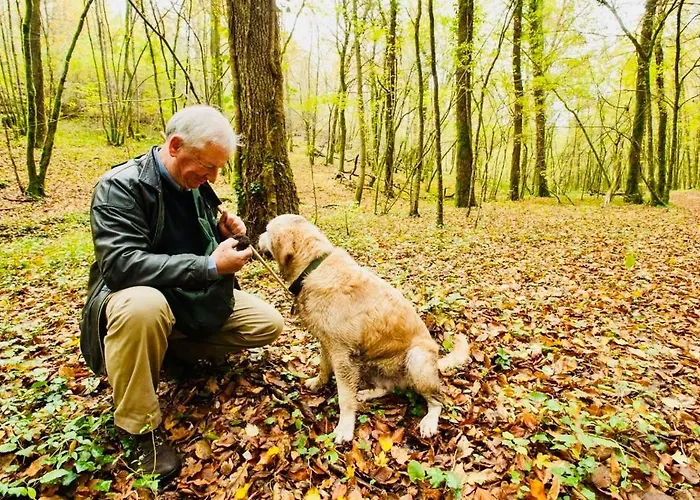 #terracota's Retro House, Near Lac Du Der ! Lägenhet
