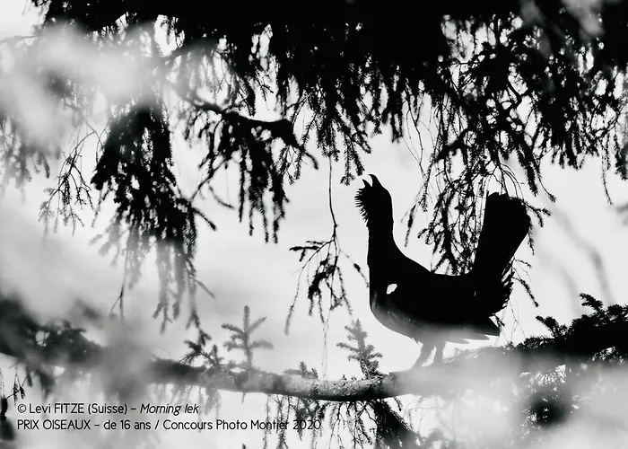 #terracota's Retro House, Near Lac Du Der ! Lägenhet *