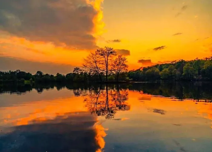 Lägenhet #terracota's Retro House, Near Lac Du Der ! Saint-Dizier