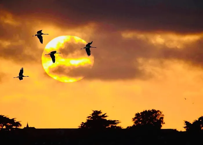 #terracota's Retro House, Near Lac Du Der ! *