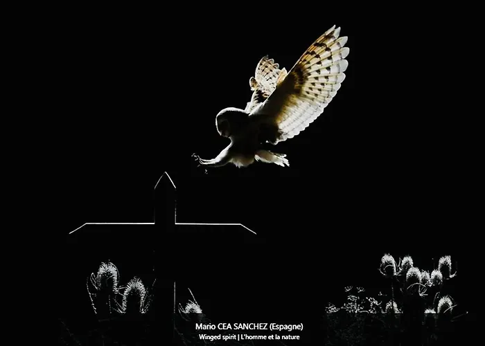 Lägenhet #terracota's Retro House, Near Lac Du Der ! Saint-Dizier