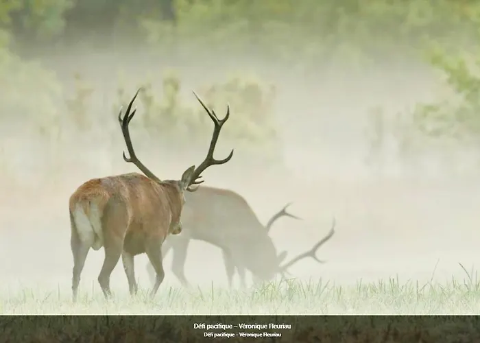 #terracota's Retro House, Near Lac Du Der ! Lägenhet *