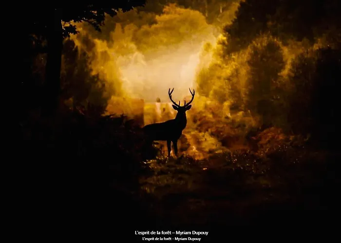 #terracota's Retro House, Near Lac Du Der ! Saint-Dizier