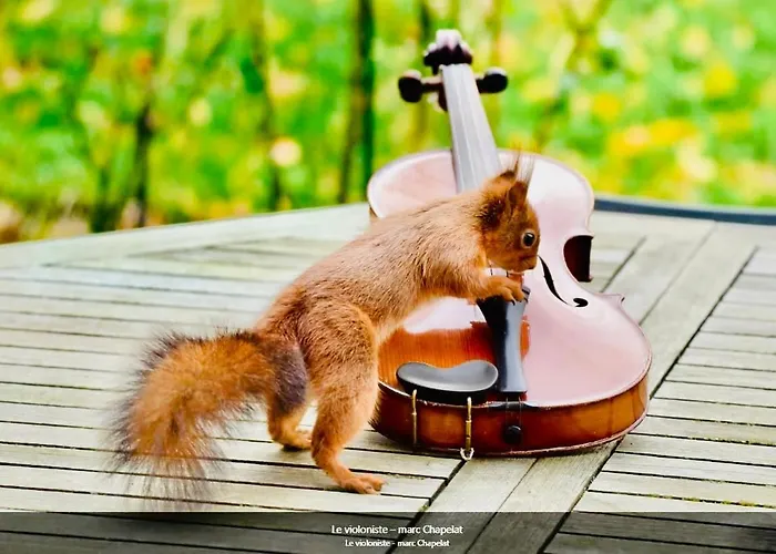 Lägenhet #terracota's Retro House, Near Lac Du Der ! Saint-Dizier