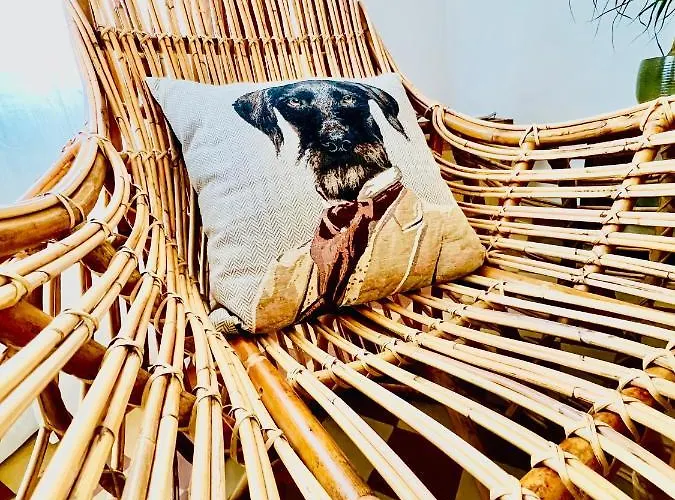 #terracota's Retro House, Near Lac Du Der ! * Saint-Dizier